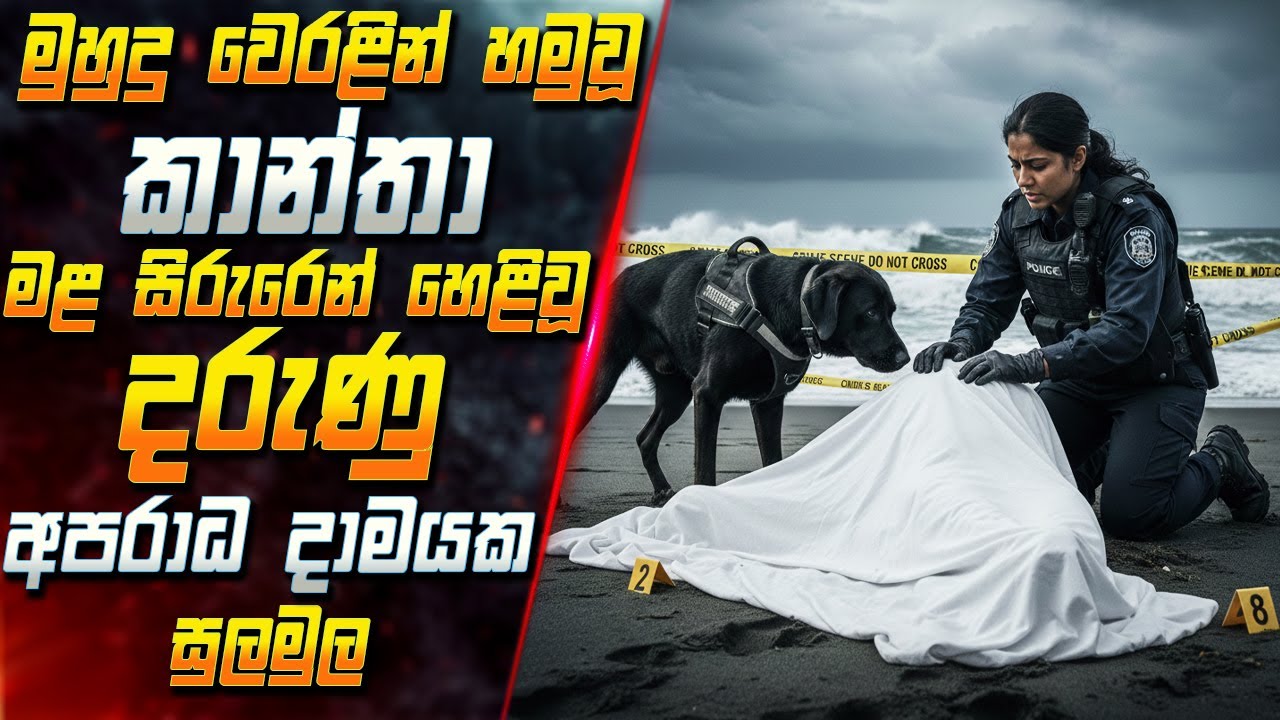 මුහුදු වෙරළින් හමුවූ කාන්තා මළ සිරුරෙන් හෙළි වූ දරුණු අපරාධ දාමයක සුලමුල 😱2025 Movie | Inside Cinema