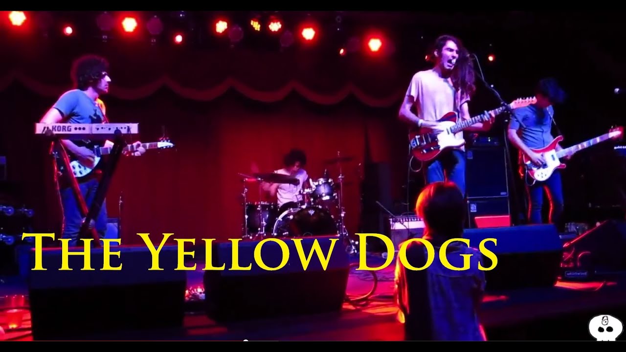 The Yellow Dogs @ Brooklyn Bowl