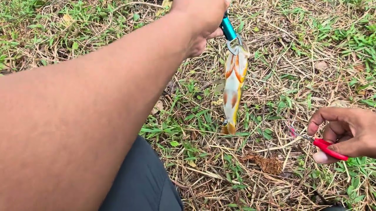 Testing travel rods.. 