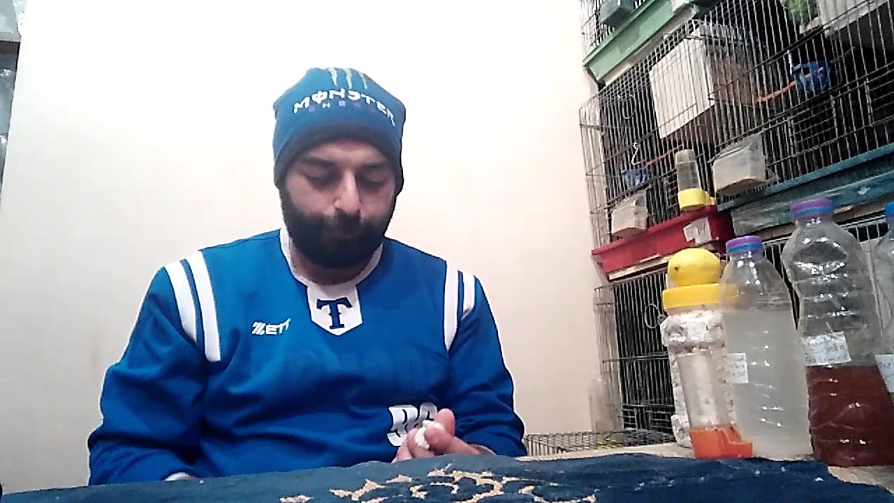 كيفية التخلص من الشحم لدى الطيور