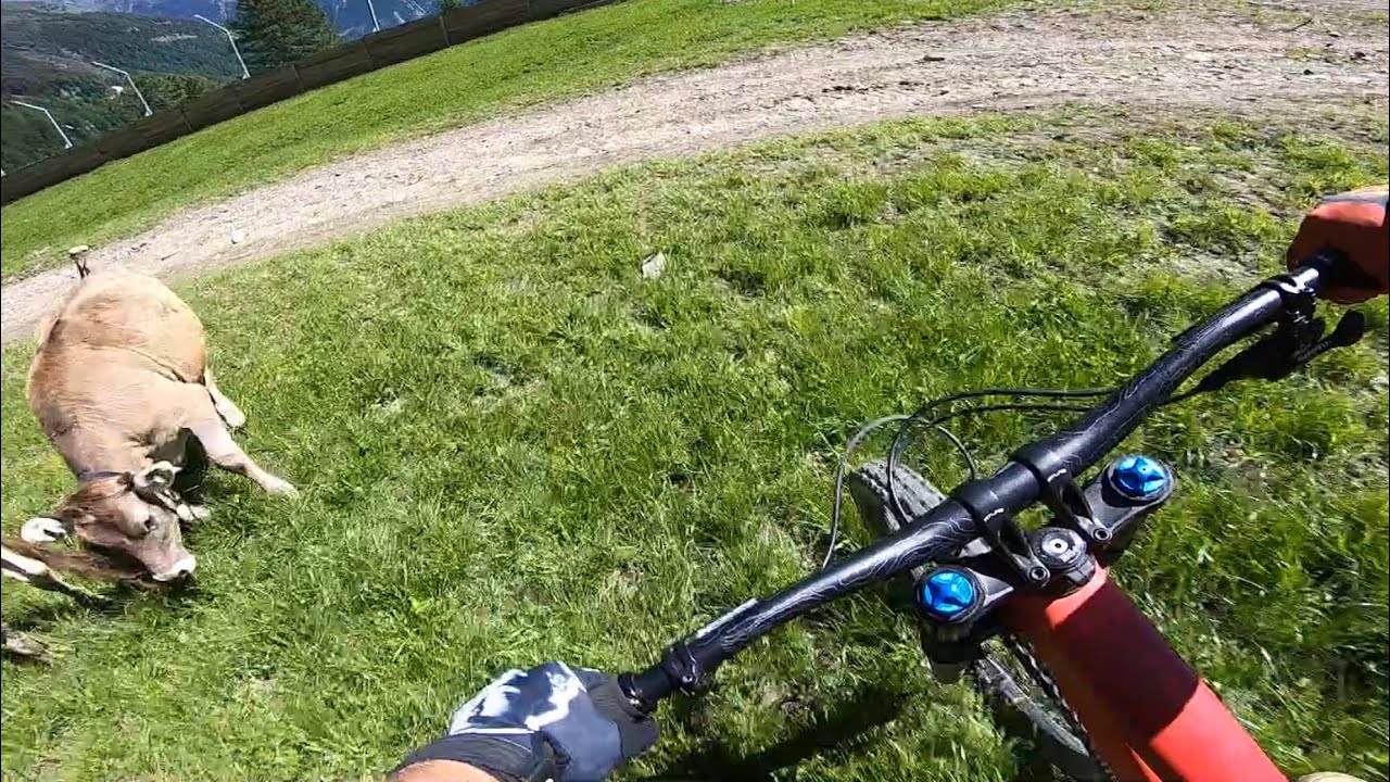 TUES CF PRO 2018 // THE YT INDUSTRIES DOWNHILL TEST // SOLDEN MTB BIKEPARK - Bienvenido Aguado