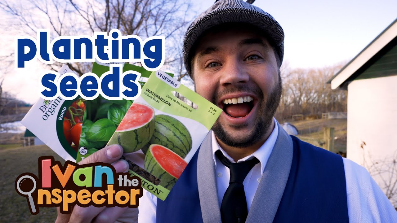 Planting Seeds For Kids | Ivan Inspects Planting Seeds