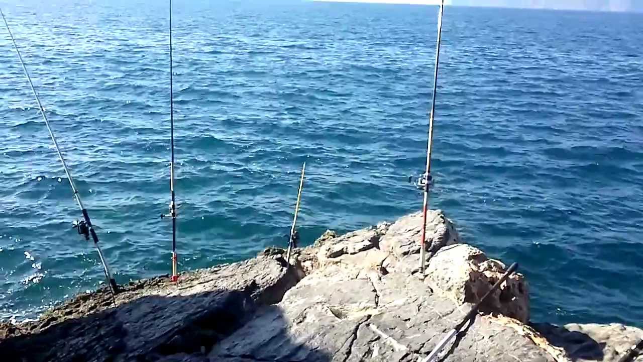 Pesca del pulpo. 3,2 Kilos. El Morrete (Murcia)