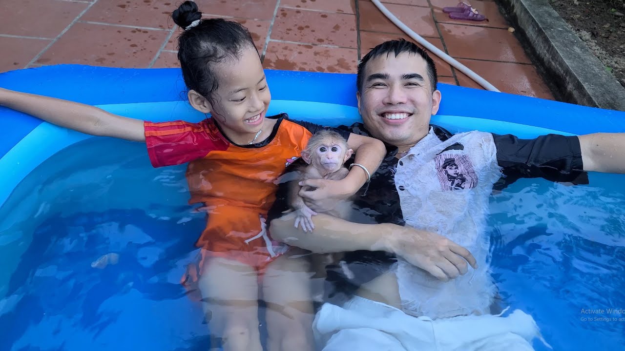 Baby Monkey David is happy because Dad bought him a new swimming pool