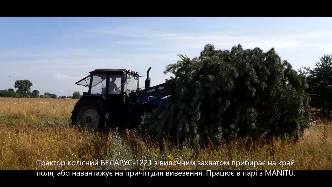 Корчування розліснення полів та утилізація деревини