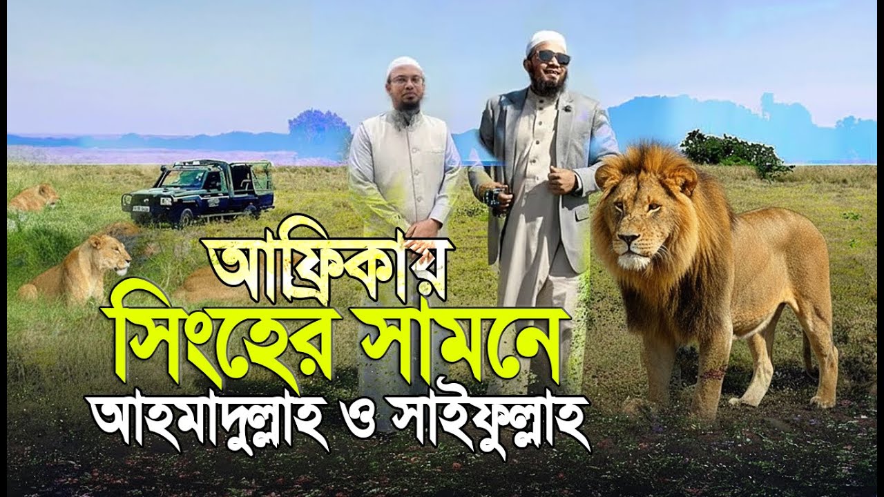 “আফ্রিকায় সিংহের সামনে শাইখ আহমাদুল্লাহ ও সাইফুল্লাহ! সবাই হতবাক”
