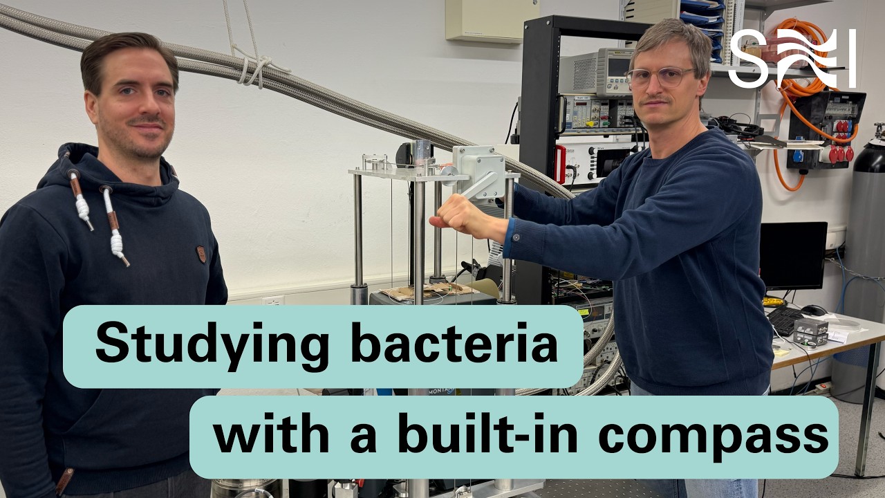 Studying bacteria with built-in compass