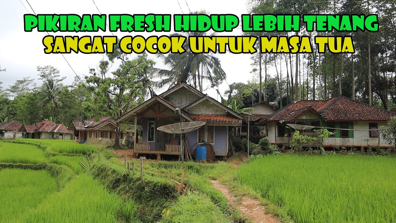 Hijau Asri Sejauh Mata Memandang..Pikiran Fresh Setiap Waktu. Cocok Untuk Masa Tua.
