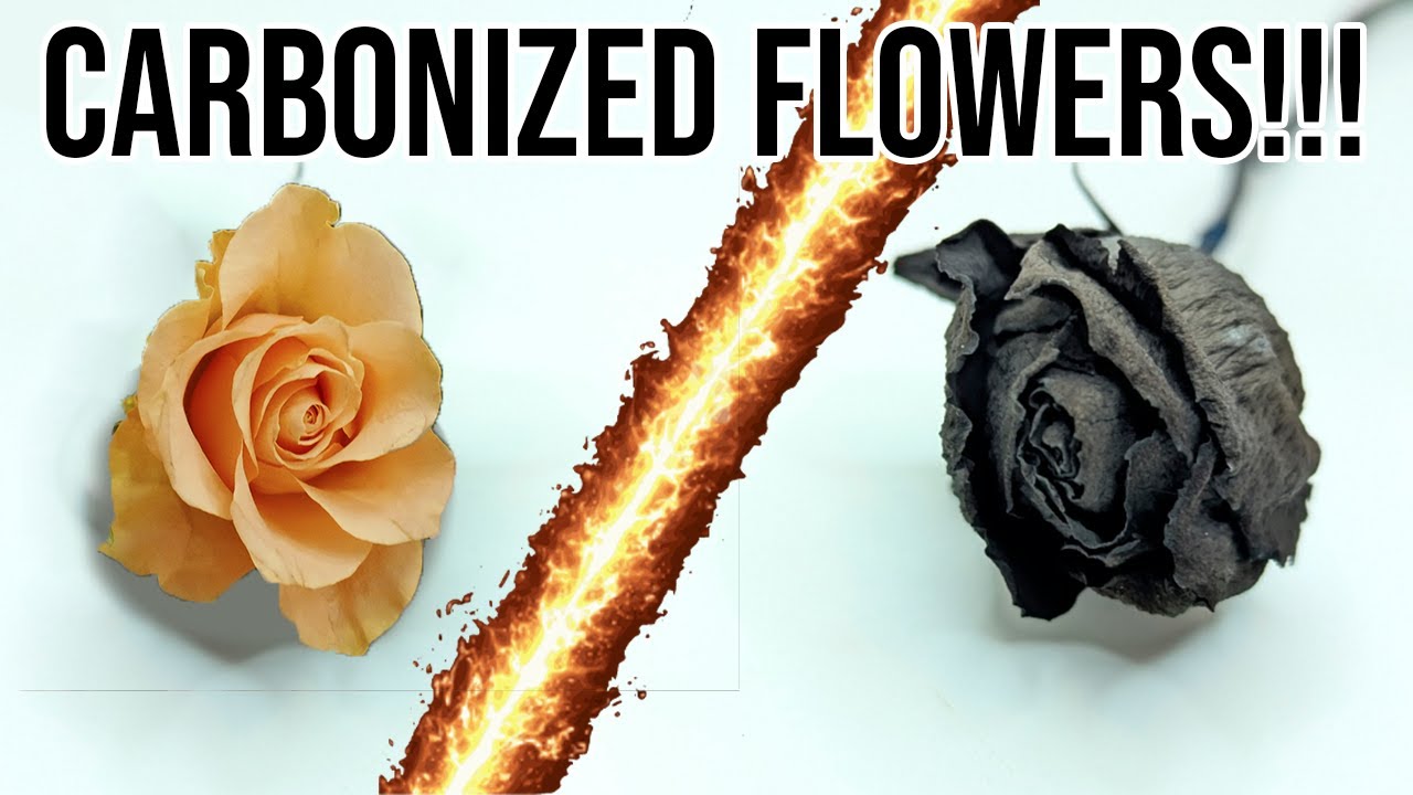 Carbonized Flowers - Beauty from ashes!