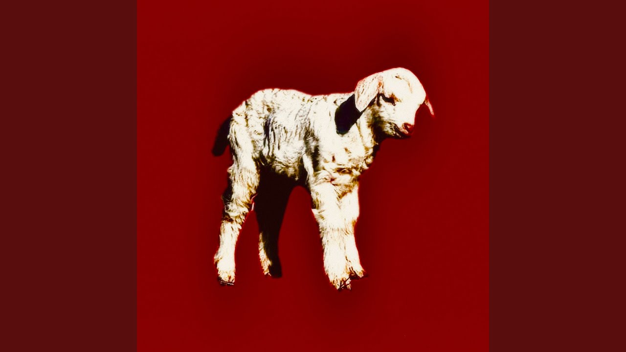 МОЛОДОЙ ТАЙЛЕР