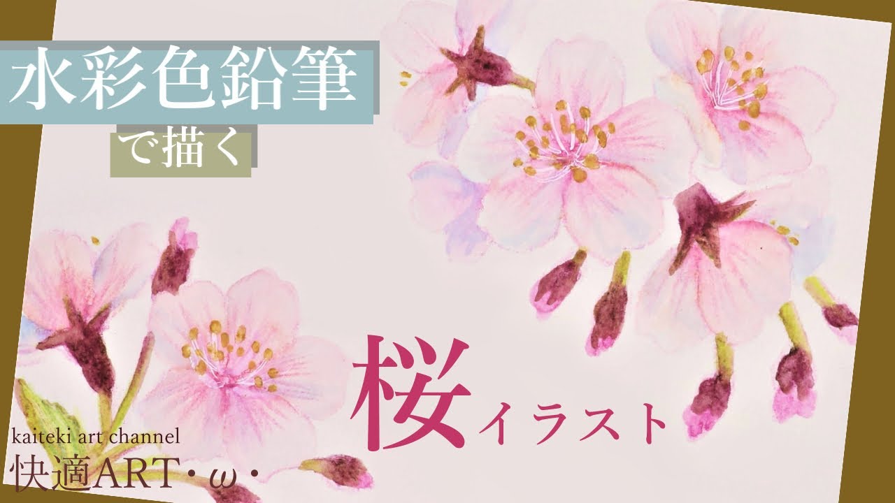 【水彩色鉛筆】🌸桜のイラストポストカードを描く！初心者向け簡単かわいい絵の描き方解説【how to draw flours with watercolor pencils】