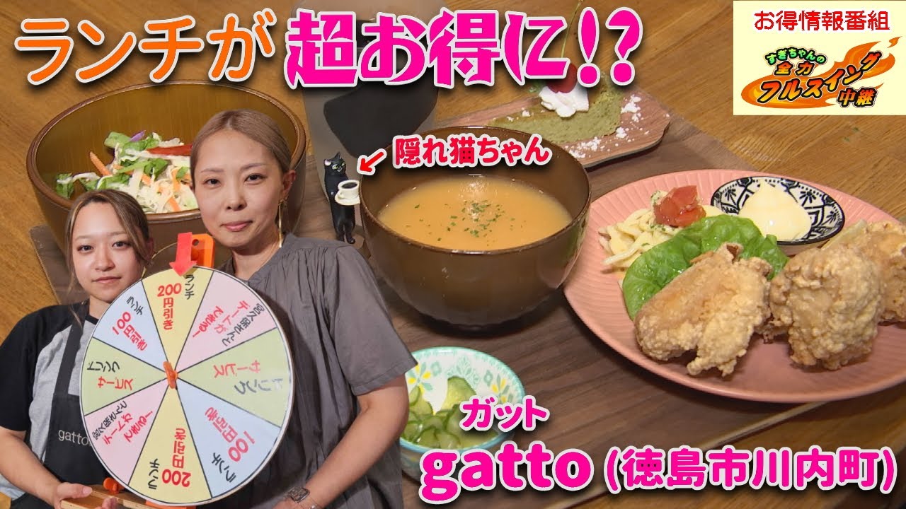 【7月は徳島市川内町で美味しいもの探しの旅】豊富なメニューの日替わりランチが大人気のgatto(ガット)さんからお届け♪毎日メニューが替わると、毎日通ってしまいますね…。
