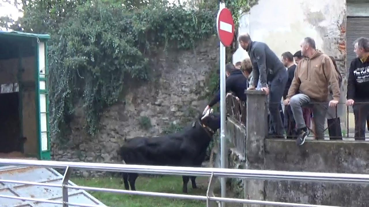 SOKAMUTURRA !!AZPEITIA SAN MARTIN DE ERREBAL 09/11/2024