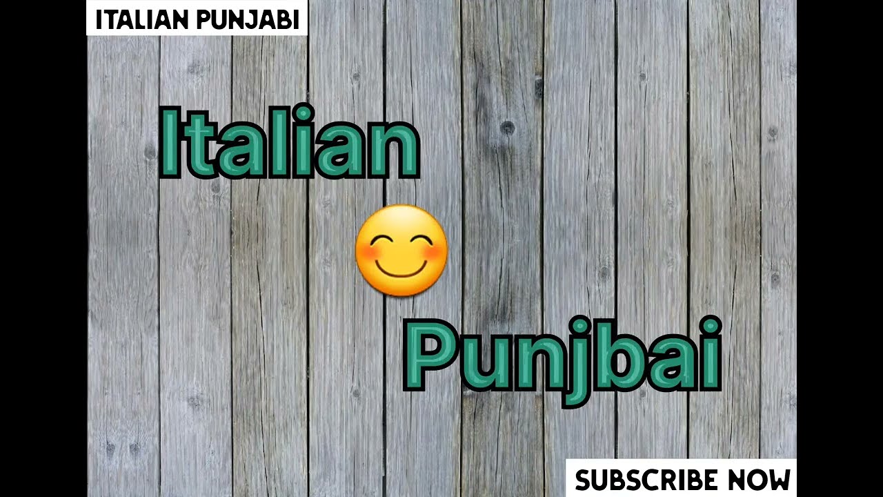 ITALY🇮🇹 ਨਵੇਂ ਆ ਰਹੇ ਵੀਰਾਂ ਲਈ ਖਾਸ😊 ITALY🇮🇹  #languagelearning #learnitalian #italianpunjabi600 #study 