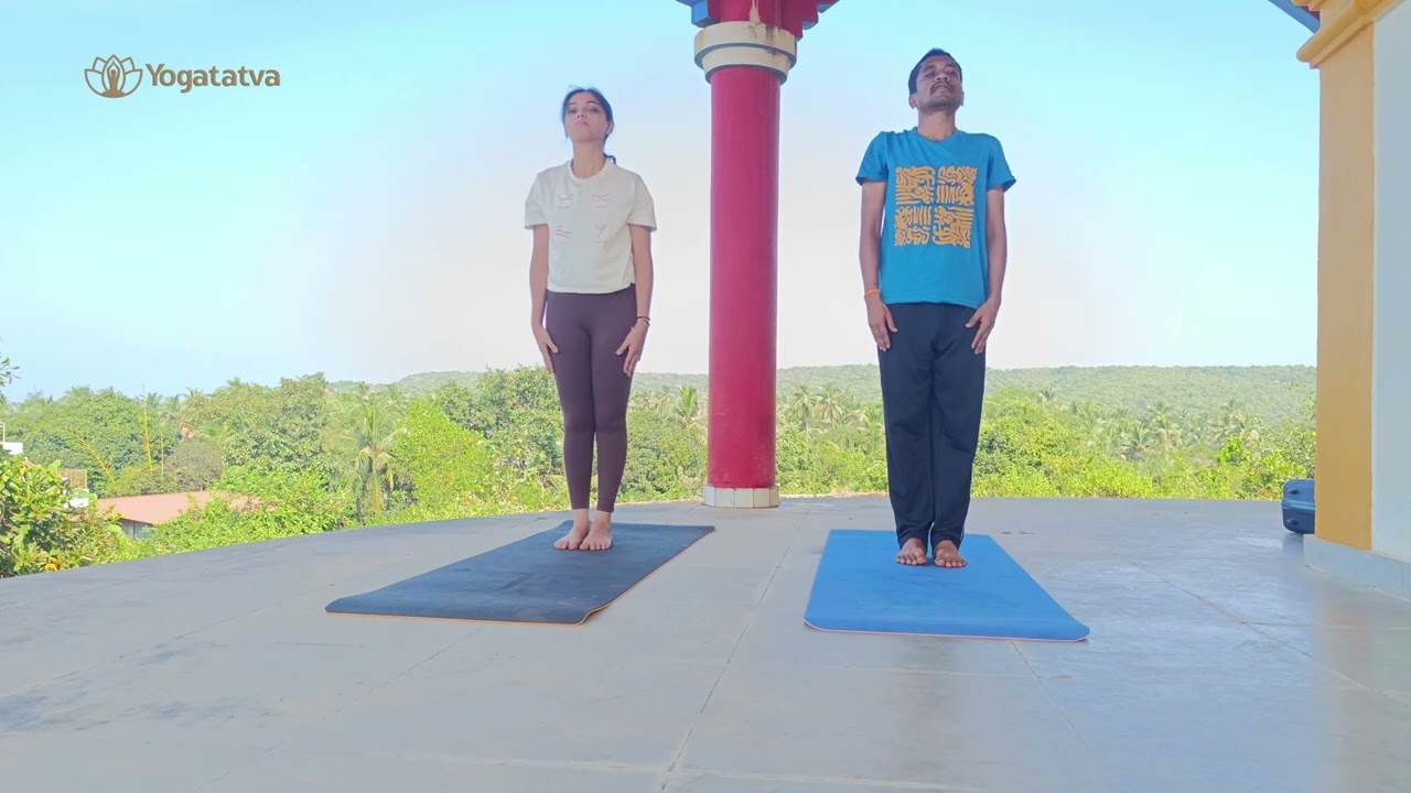 Pada hasthasana