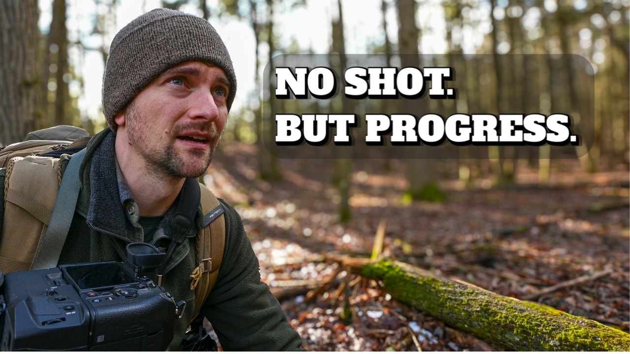 Scouting New Ground for Wildlife  Finding Bear Sign, Tracks, and Future Shots