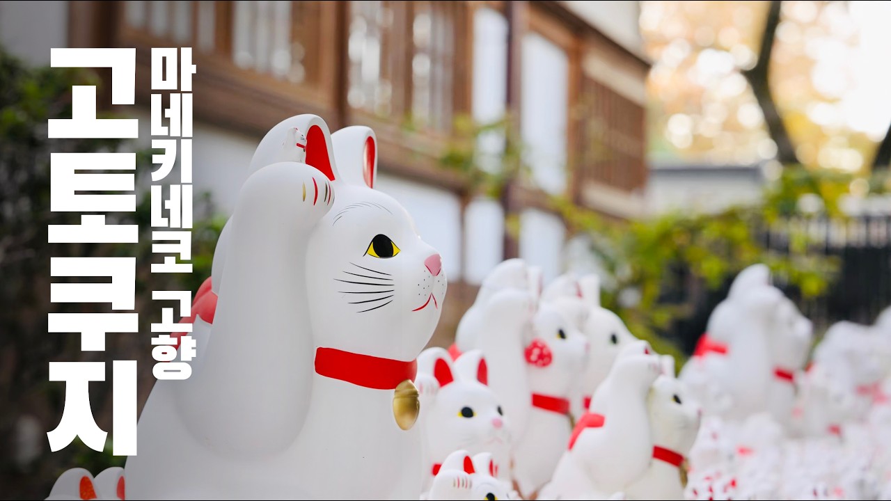 일본 로컬이 가는 진짜 도쿄 산책 ｜고양이 천국 '고토쿠지' 완전공략! 🚋