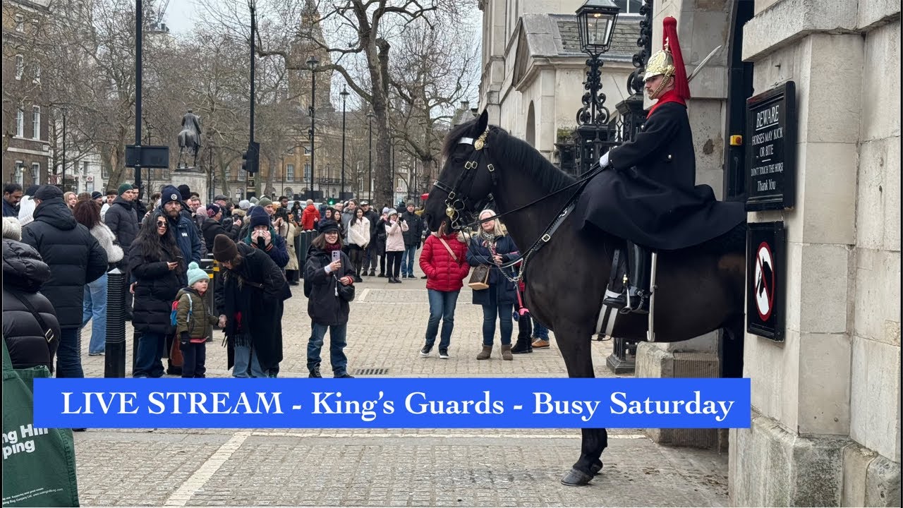 LIVE STREAM - King’s Guards - 24/01/2026