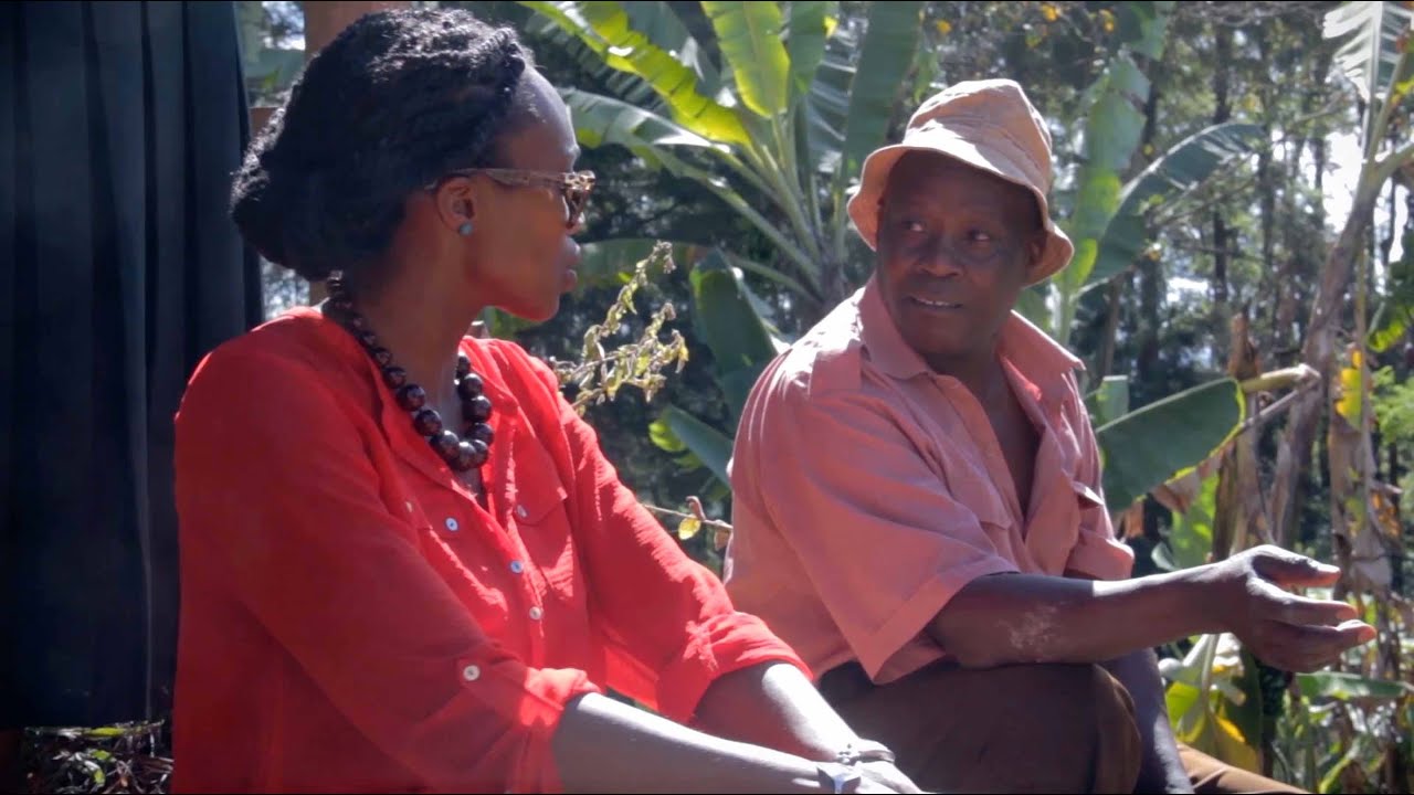 Nairobi - Vava Coffee (Coffee)