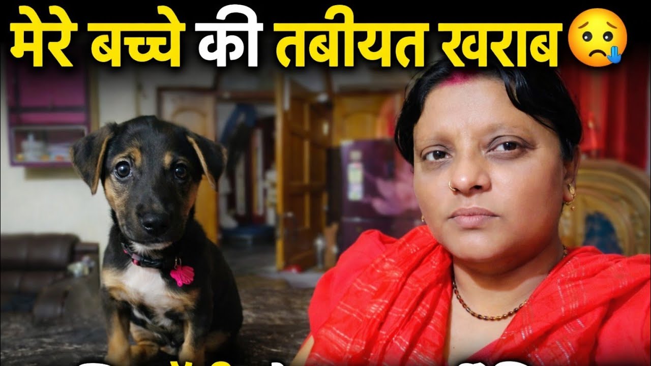 18 March 2026“मेरे बच्चे की तबीयत खराब 😢 | डॉगी को खाना भी नहीं दे पाई 💔”