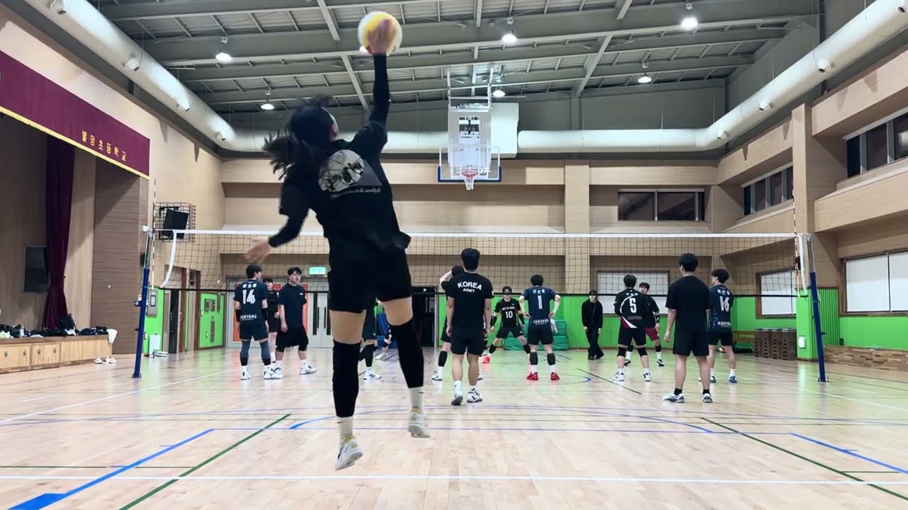 20260319 별망초 연습게임4