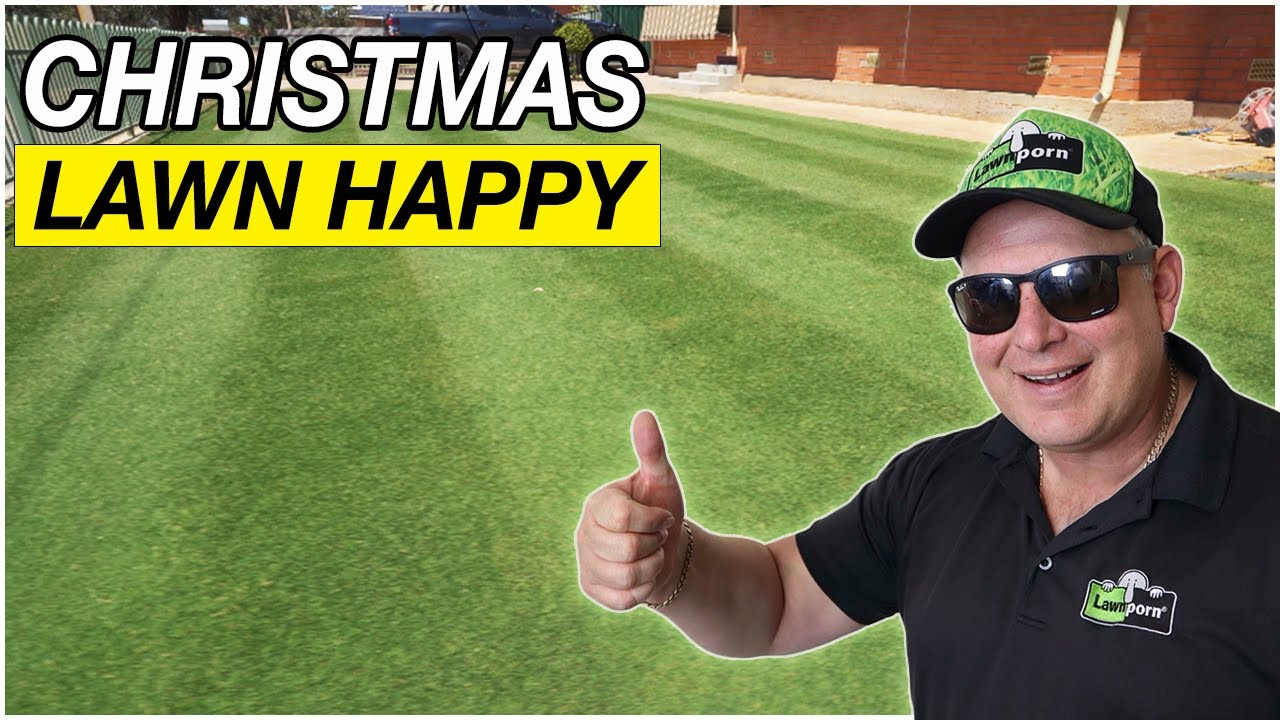 Getting The Lawn Ready For Christmas Day
