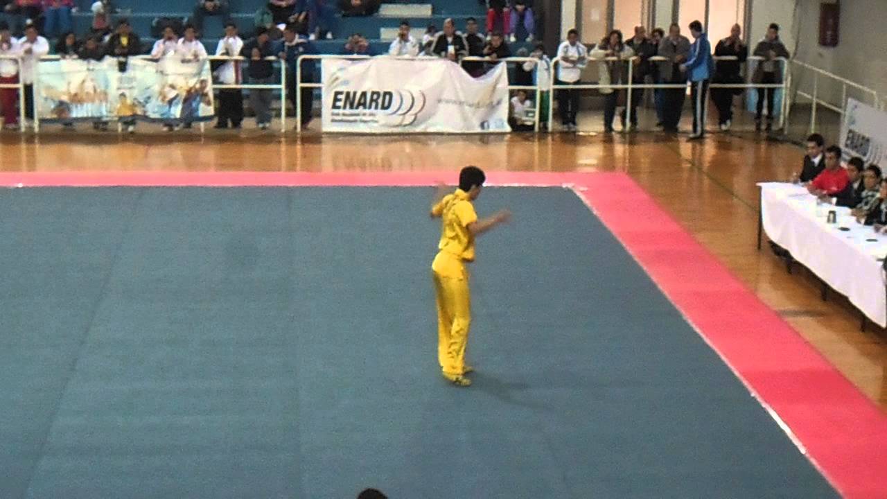 Ariel Mancilla - Changquan - 5&ordm; Sulamericano de Wushu