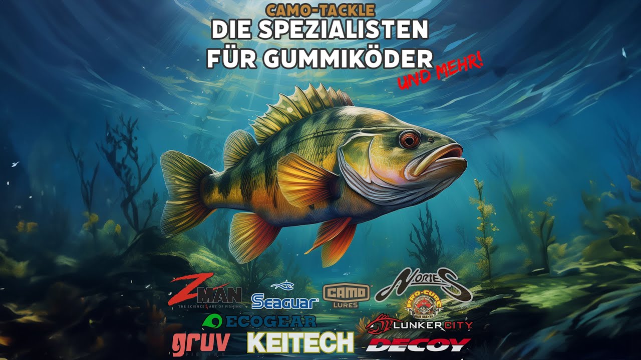 CAMO-Tackle.de - Der Online-Shop f&uuml;r f&auml;ngige Gummifische & hochwertige Kunstk&ouml;der