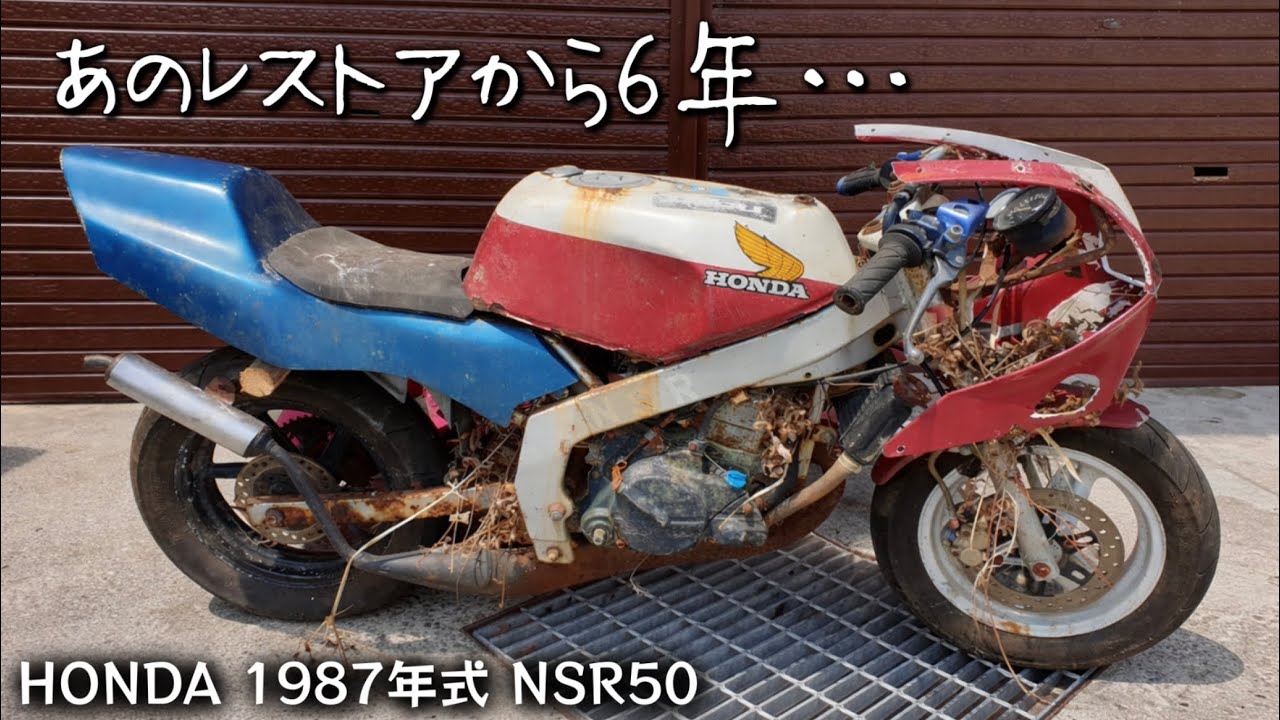 レストアから6年…あのバイク今どうなってんの？【1987年式NSR50】