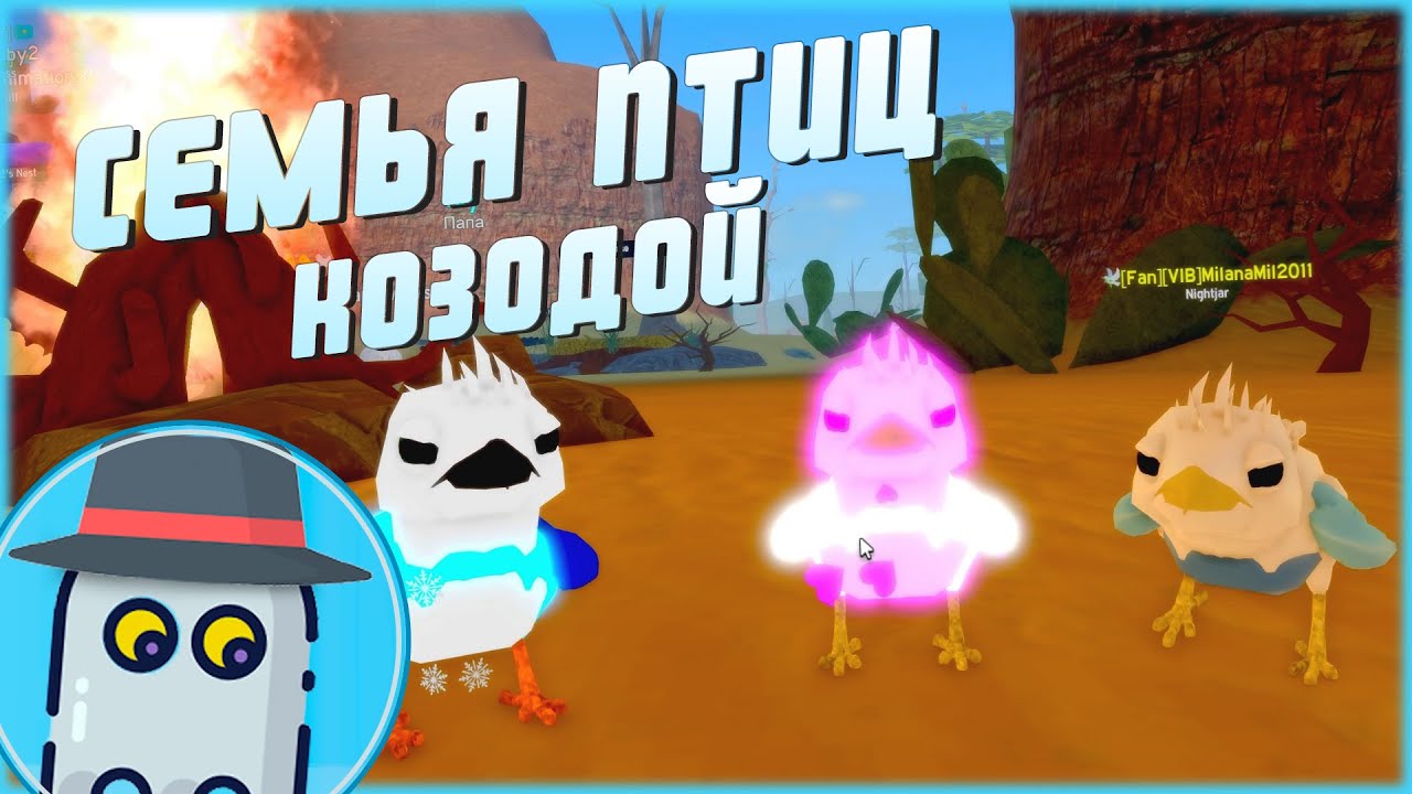 🐤КОЗОДОЙ 🐦(ПТИЦА, ОБНОВЛЕНИЕ) 🦆СЕМЬЯ ПТИЦ 🦅РОБЛОКС 🐤NIGHTJAR 🦆UPDATE🦅FEATHER FAMILY 🐦ROBLOX🐤