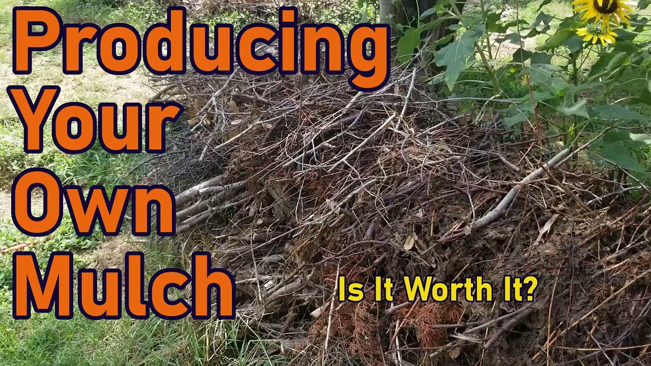 Pros & Cons of Growing Your Own Mulch With Examples | Native Mulch | Texas Permaculture Garden