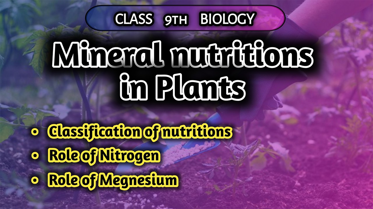 Minerals nutrition in plants | Role of nitrogen and megnesium #class9thbiology #minerales #biology