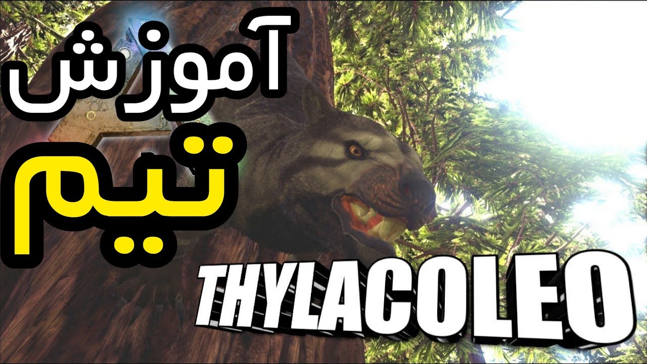 گیمپلی آموزش بازی آرک پارت هفده : آموزش تیم کردن Thylacoleo