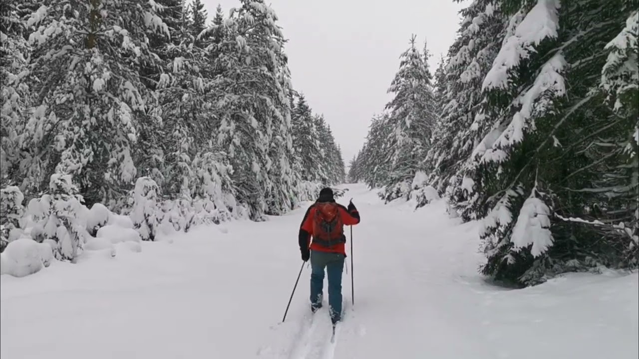 Hojsova Stráž, Šumava 17.-19.2. 2026