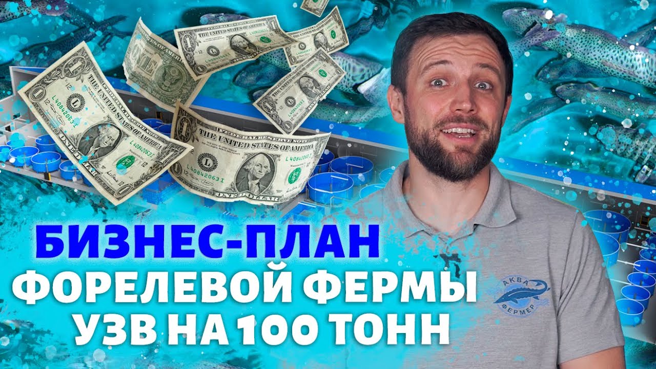 Видео БИЗНЕС ПЛАН форелевой ФЕРМЫ УЗВ на 100 ТОНН В ГОД | Чем ПЕРСПЕКТИВЕН рыбоводный БИЗНЕС?