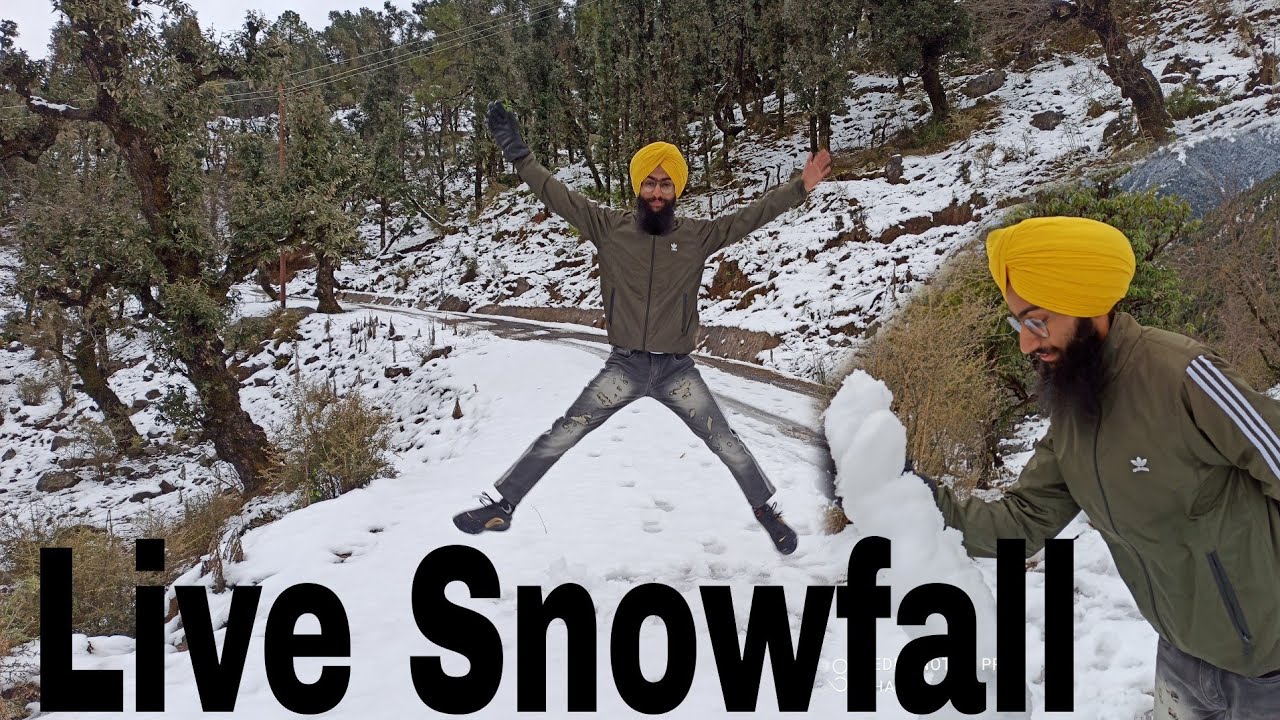 Salli Valley Snowfall |Kangra| Vlog