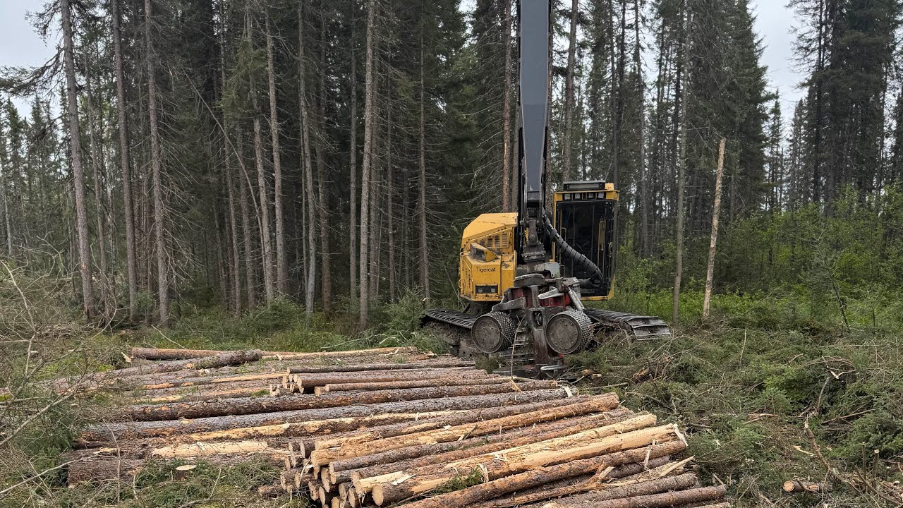 Tigercat 845 Logmax 7000xt
