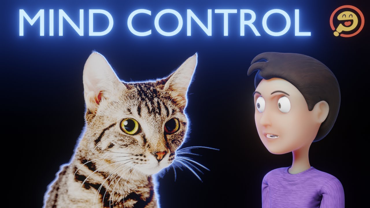 The Cat Parasite You Probably Have - Absurd Hypotheticals Highlights (PODCAST)