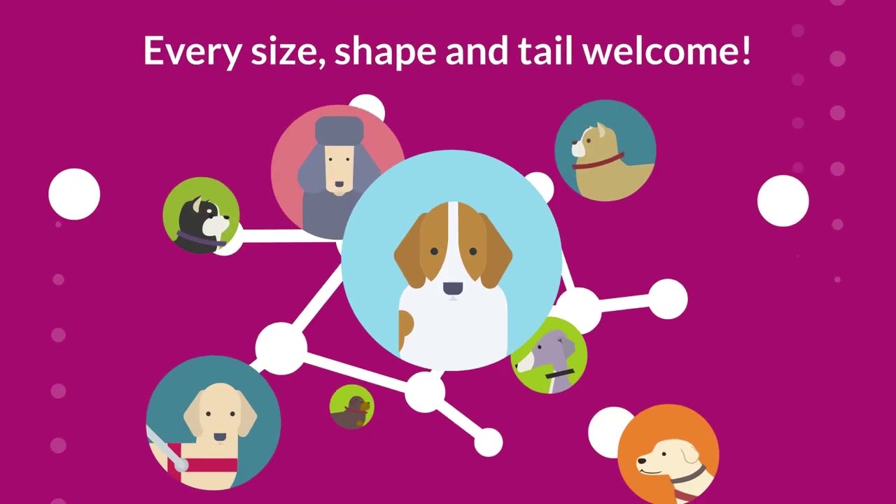 SocialDog - What is it?