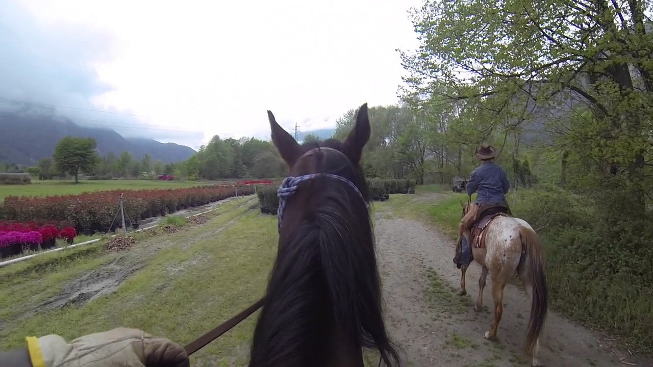 Trekking a cavallo lungo il Fiume Toce