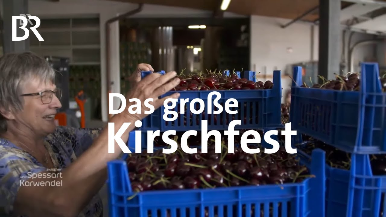 Wunderwelt der Kirschen: Getränke und Süßspeisen mit Kirschen | Zwischen Spessart und Karwendel | BR