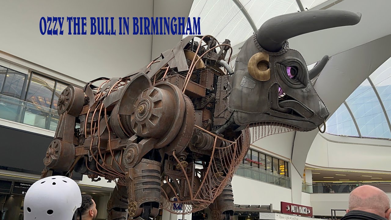 OZZY THE BULL IN BIRMINGHAM 2023.4K