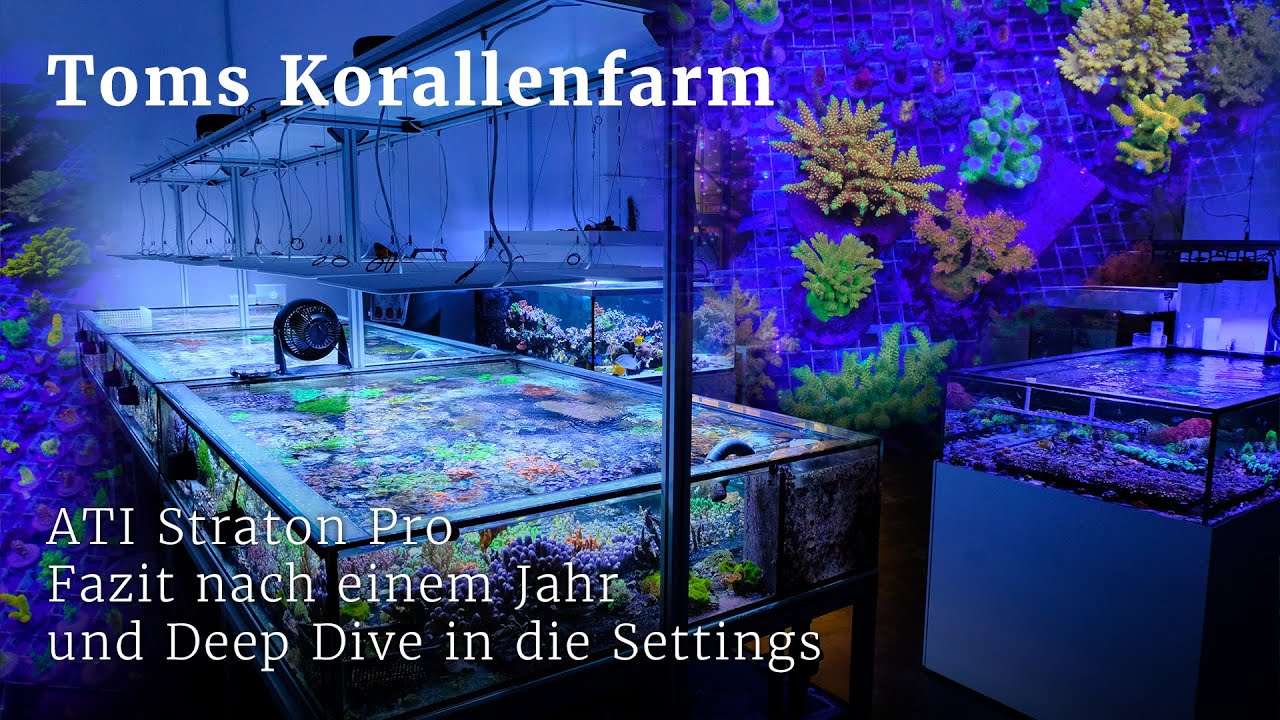 Nach einem Jahr mit der Straton Pro - Deep Dive und Fazit
