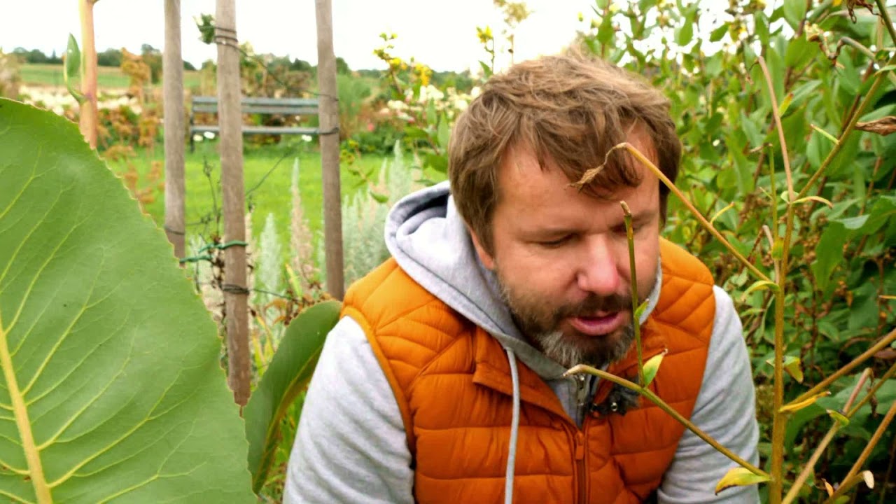 ogród w zgodzie z naturą odcinek 27 ogród w zgodzie z naturą