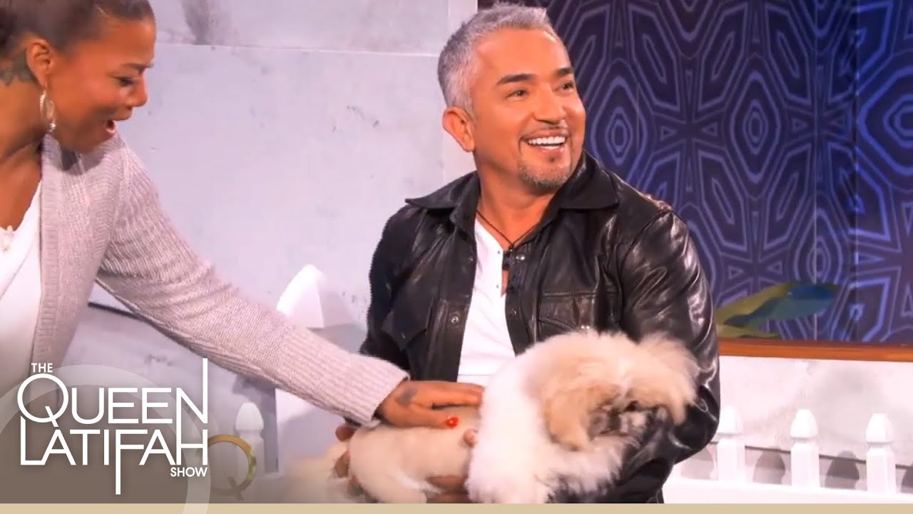 Cesar Millan Plays 