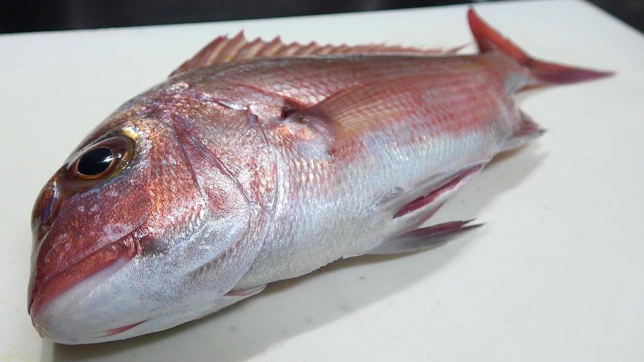 マダイの湯霜漬け茶漬け作り