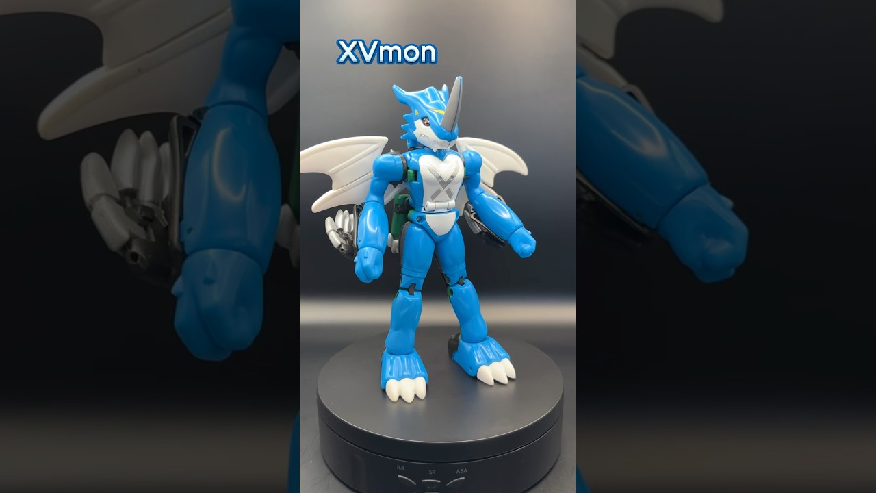Bandai Digivolving XVmon Stingmon Jogress Evolution to Paildramon #digimon #digimonadventure02
