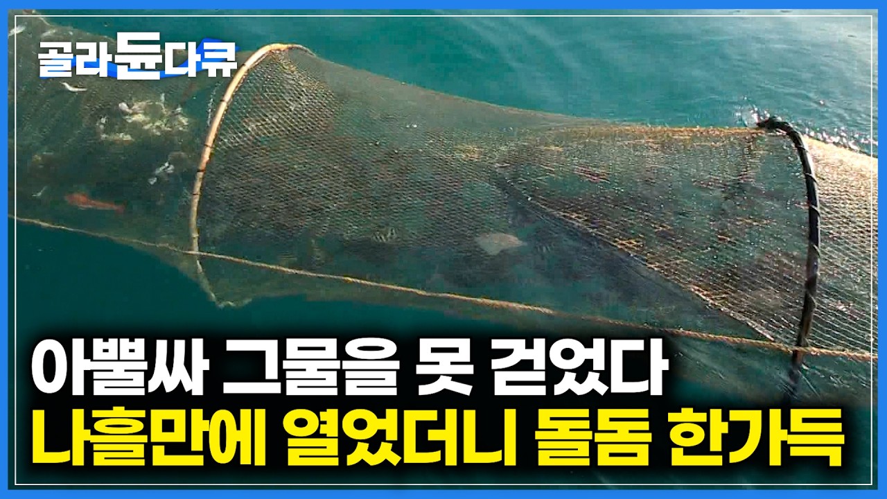 날씨 때문에 그물 걷는게 늦어졌다｜걱정스럽게 올린 그물 속 최고급 생선이 폭발했다｜욕지도 어부의 하루｜한국기행｜#골라듄다큐