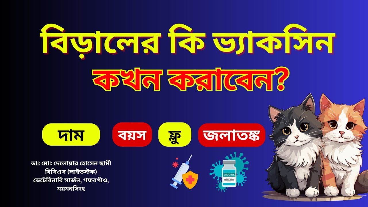বিড়ালকে যে যে ভ্যাকসিন দিতেই হবে । কখন করাবেন , দাম কত পরবে ?।Vaccination of Cat/ Dr. Sami
