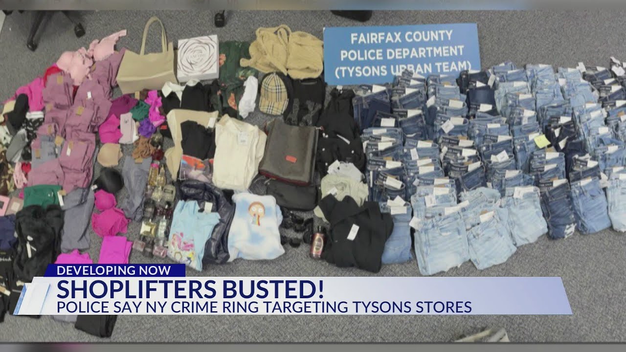 Fairfax County Police bust shoplifting crime crew from New York
